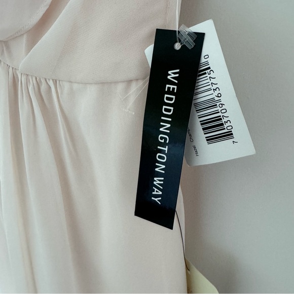 Adrianna Papell Champagne Yvory Blush Crepe Dress - Picture 5 of 12